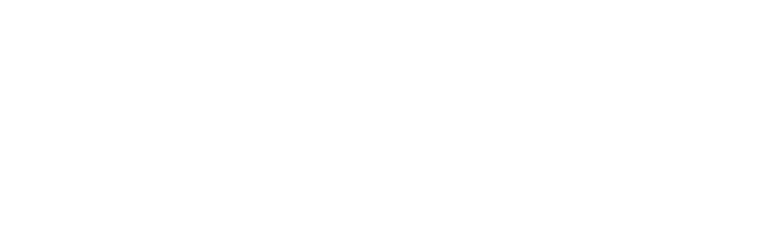 RegulatingAI logo reverse